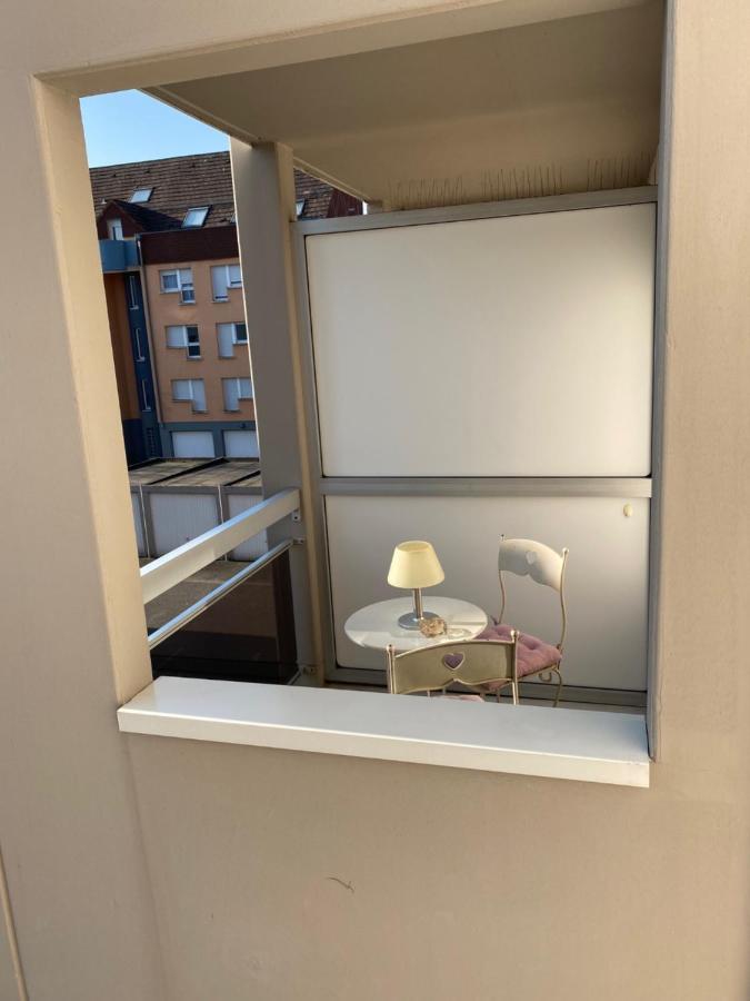 Charmant Studio A Haguenau, A 25Mn De Strasbourg Εξωτερικό φωτογραφία